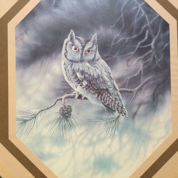 Owl print with octagon frame wall decor - Picture 3 of 5
